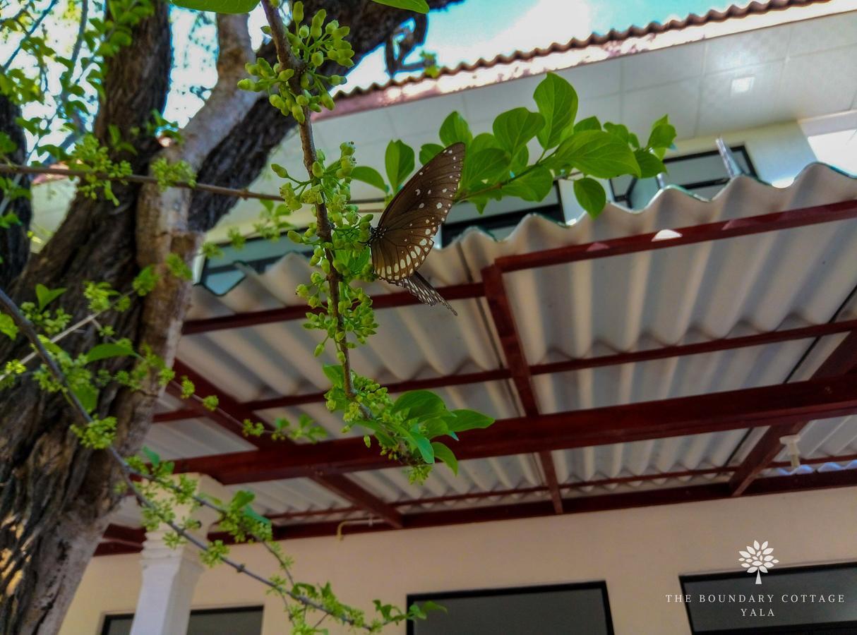 The Boundary Yala Hotell Kataragama Exteriör bild